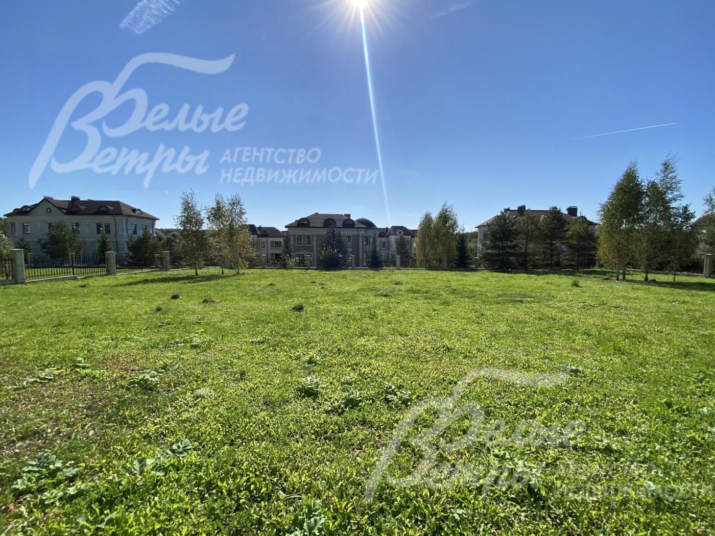 На участке взрослые лесные деревья