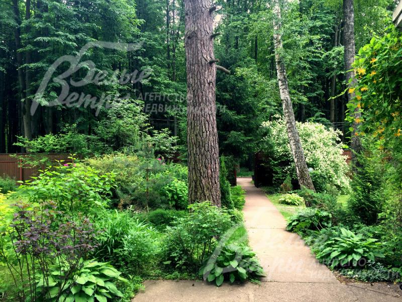 Лесной участок 19 соток