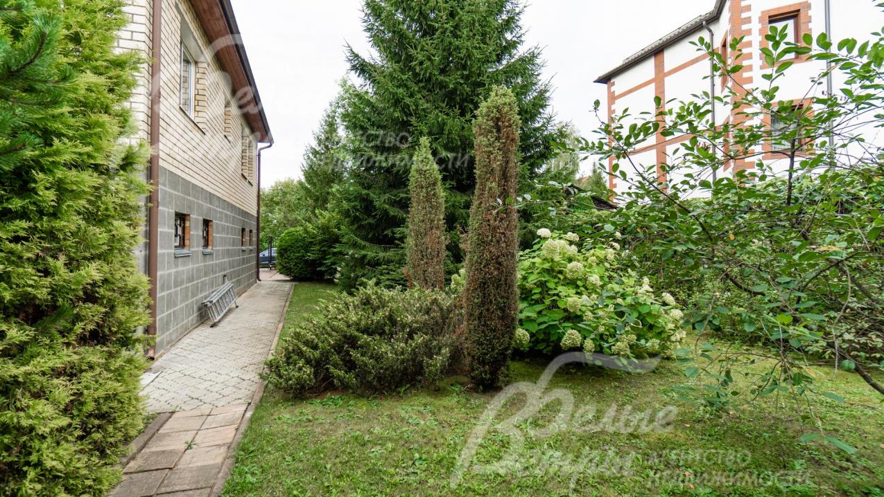 Красивые цветущие кустарники гортензии на участке