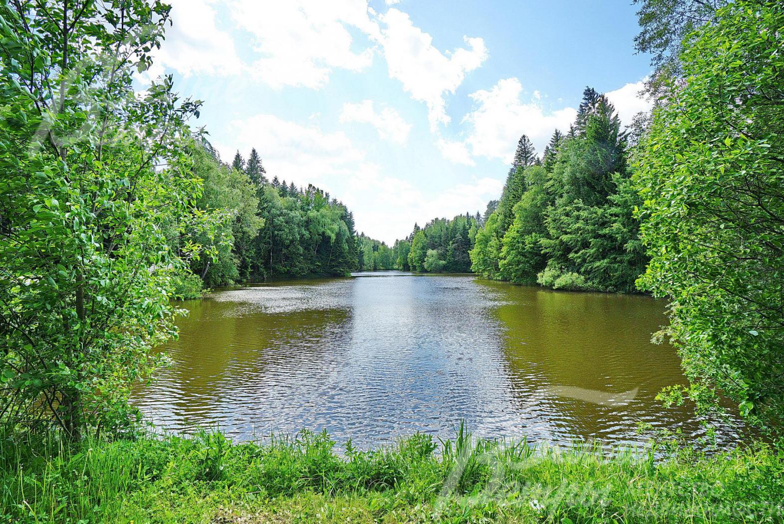 Пруд в поселке